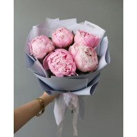 Букет и 5 пионов 